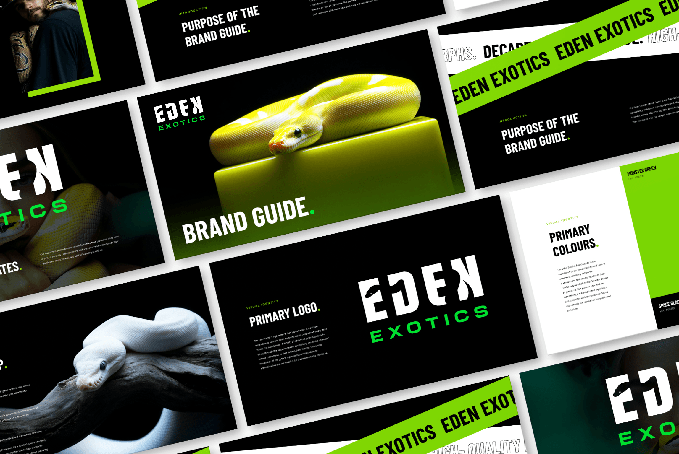Eden Exotics – ARTTAR | Creative Director & Brand Architect