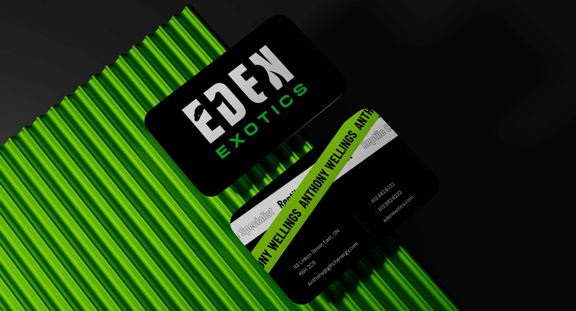 Eden Exotics – ARTTAR | Creative Director & Brand Architect